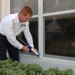 Tips to prevent pests this Spring Tips to prevent pests this Spring