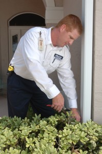 Tips to prevent pests this Spring Tips to prevent pests this Spring