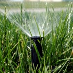 Check Irrigation Coverage and Timing Check Irrigation Coverage and Timing