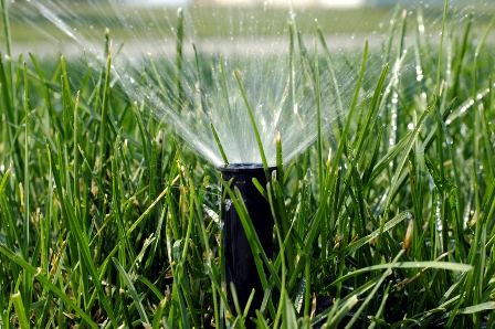 A properly adjusted irrigation system 
