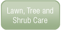 Lawn care and shrub care for your entire landscape