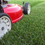 how-to-mow-your-lawn-1