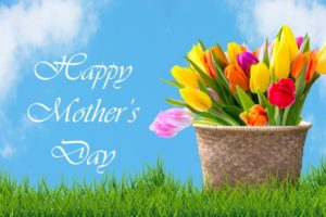 tulips-in-basket-mother-day-card