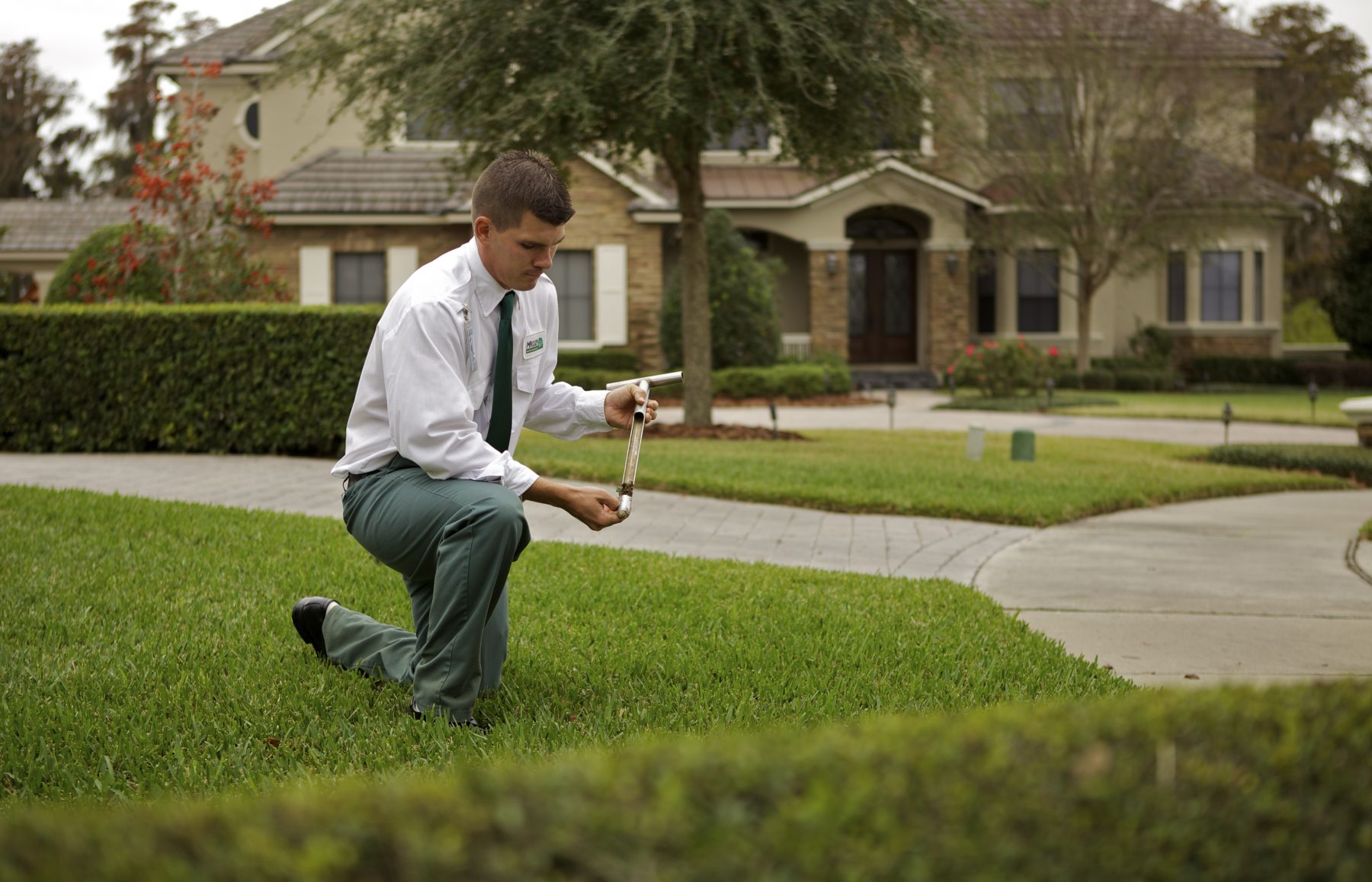 Orlando Lawn And Landscape Services Massey Services