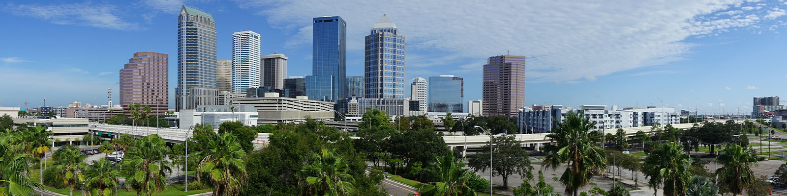 Find Pest Control in Tampa