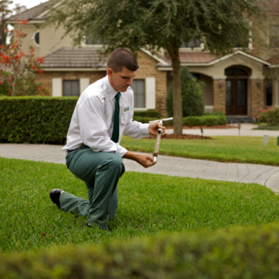 Clermont Lawn Care And Landscape Services, Landscaping Clermont Florida