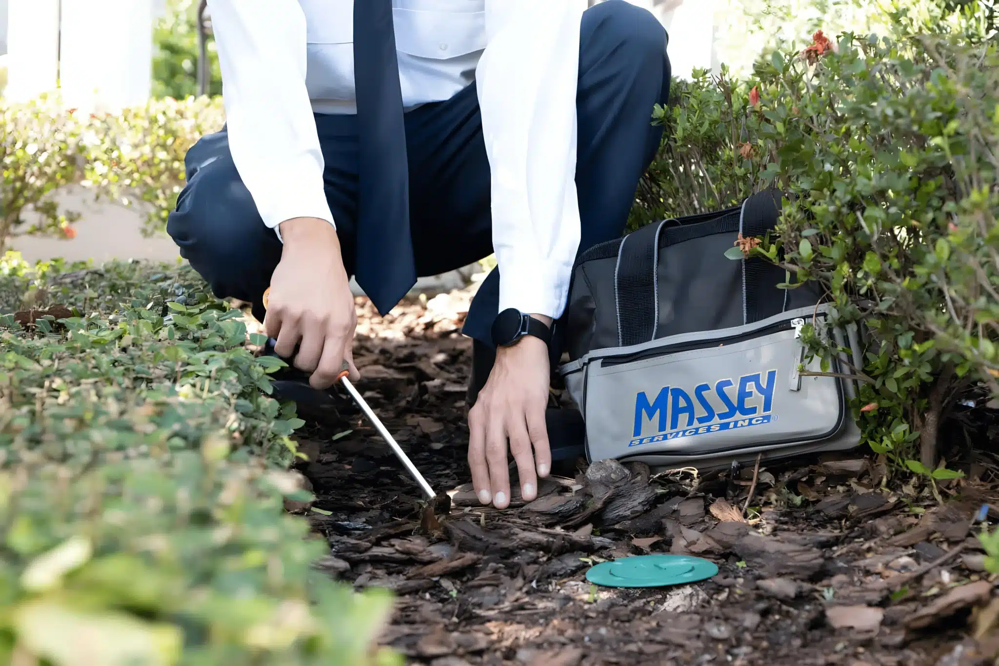 Wendy Sims - of - Massey Services Inc